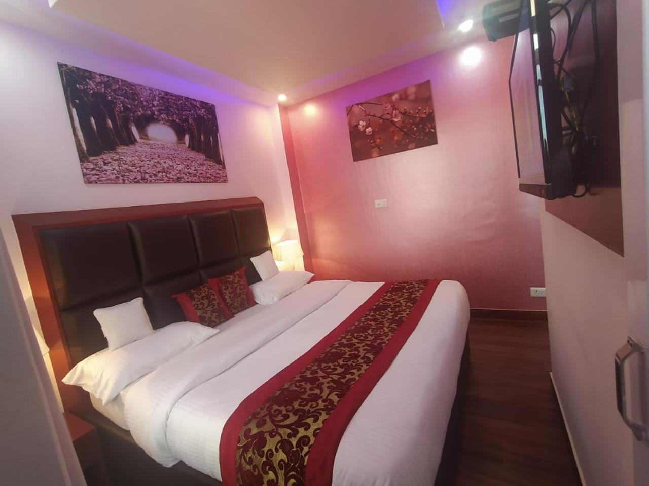 Deluxe Homestay Apartments With Kitchen In 西姆拉 外观 照片